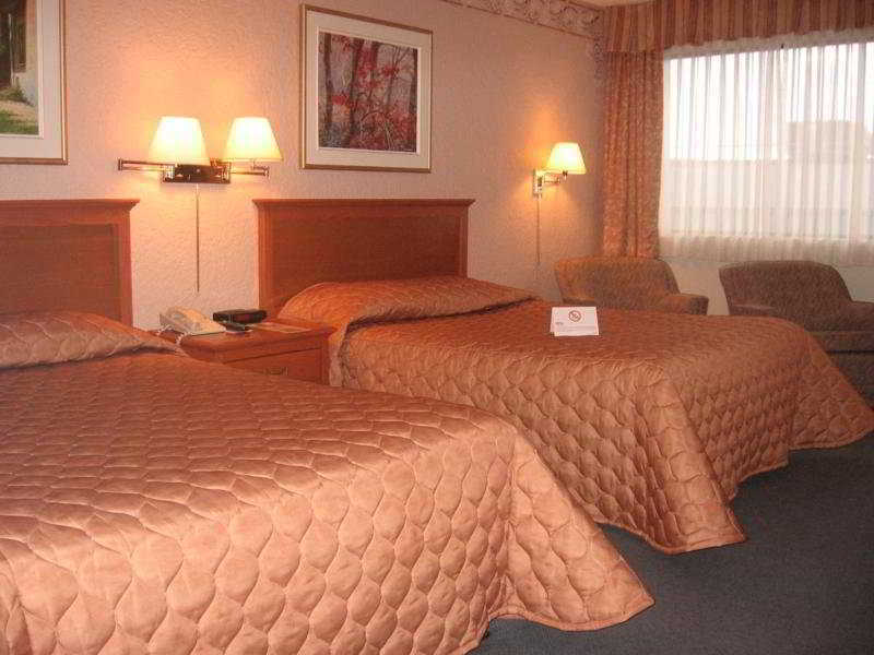 Hotel Universel Montreal Room photo